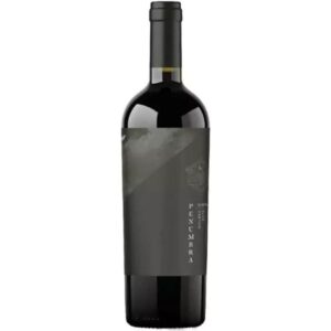Vinho tinto reserva garrafa 750ml
